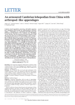 An armoured Cambrian lobopodian from China with arthropod