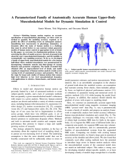 A Parameterized Family of Anatomically Accurate Human Upper