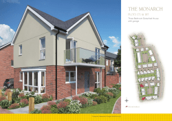 THE MONARCH - Knights Wood