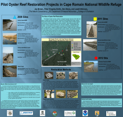 Atkinson - Brown RAE 2012 Poster