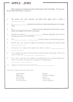 Elementary Level Apple Activity Packet