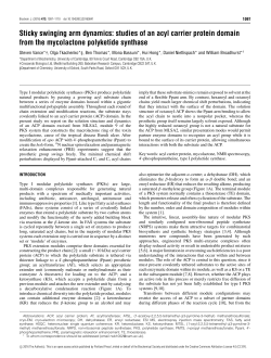 Sticky swinging arm dynamics: studies of an acyl carrier protein