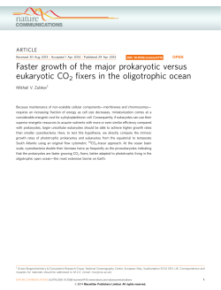 Faster growth of the major prokaryotic versus eukaryotic CO2 fixers