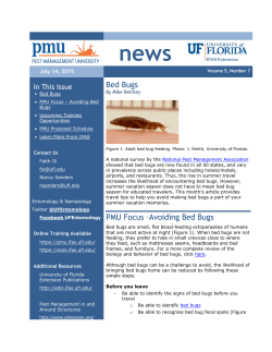 Bed Bugs PMU Focus &ndash;Avoiding Bed Bugs