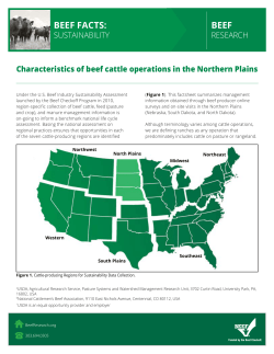 beef facts - Beef Research