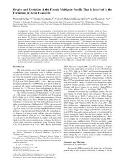 Origins and Evolution of the Formin Multigene