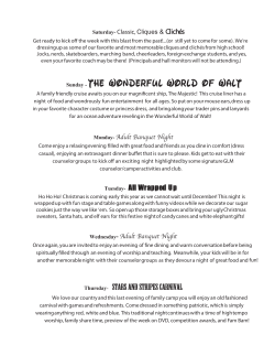 2015 Theme Night Write up - draft2
