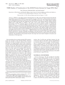 NMR Studies of Translocation of the Zif268 Protein between Its