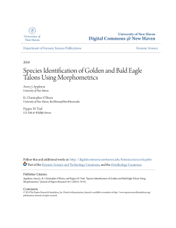 Species Identification of Golden and Bald Eagle Talons Using