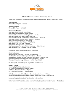 Entries were organized in five divisions