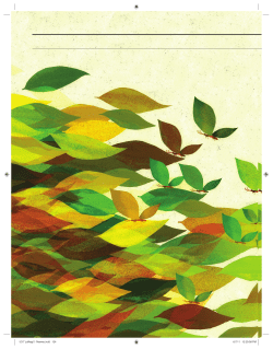 Adaptability The New Competitive Advantage