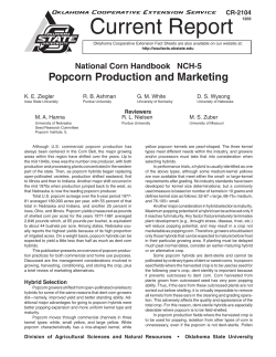 Popcorn Production and Marketing