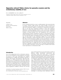 as a PDF