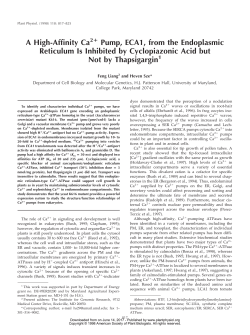 A High-Affinity Ca Pump, ECA1, from the Endoplasmic Reticulum Is