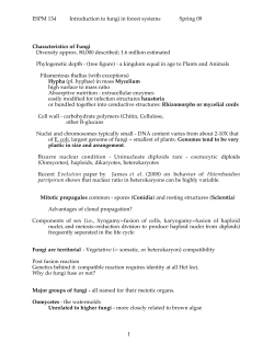 Characteristics of fungi