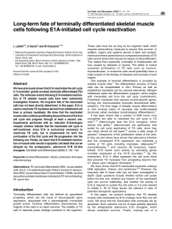 Long-term fate of terminally differentiated skeletal muscle cells