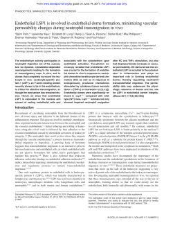 Endothelial LSP1 is involved in endothelial dome formation