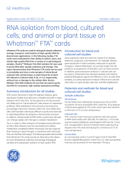 RNA isolation from blood, cultured cells, and animal or plant tissue