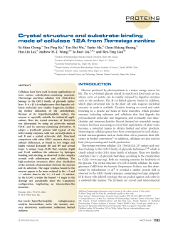 Crystal structure and substratebinding mode of cellulase 12A from