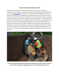Toomer`s Oak Growth Rings Counted