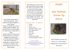 if in - east peckham guinea pig rescue