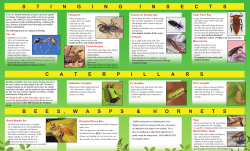 Florida Venomous Critters (English)