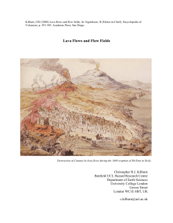 Lava Flows and Flow Fields