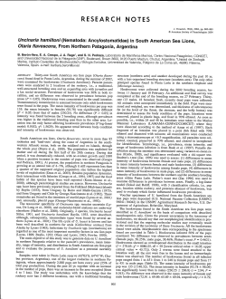 Berón-vera et al 2004. Uncinaria Hamiltoni