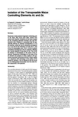 Isolation of the Transposable Maize Controlling Elements Ac and Ds