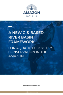 A NEW GIS-BASED RIVER BASIN FRAMEWORK