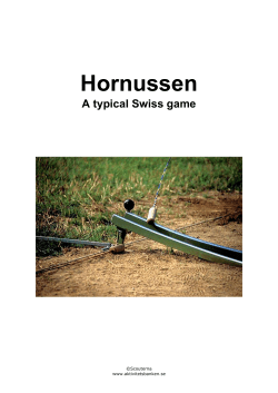 Hornussen - Scouterna