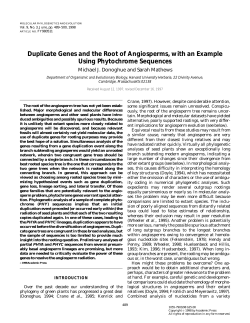Duplicate Genes and the Root of Angiosperms, with an Example
