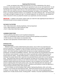 Exploring Plant Hormones