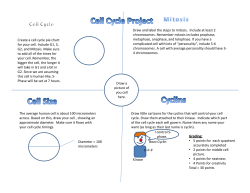 Create a cell cycle pie chart for your cell. Include G1, S, G2, and