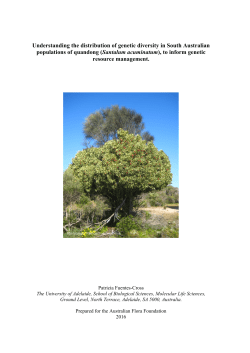 Understanding the distribution of genetic diversity in South