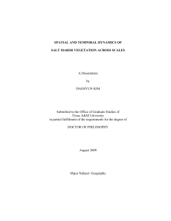 SPATIAL AND TEMPORAL DYNAMICS OF SALT MARSH