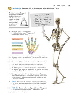 Bones in the Human Body g )EAD p     g 5RUNK p    g )ANDS p     g