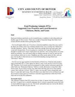 FPA Best Practices Handout - City and County of Denver