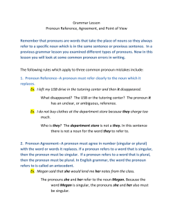 Grammar Lesson Pronoun Reference, Agreement, and Point of View