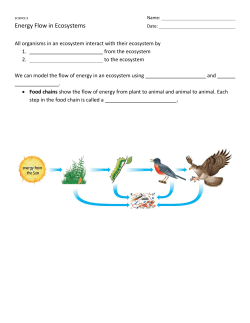 Energy Flow in Ecosystems - Riverside Secondary School