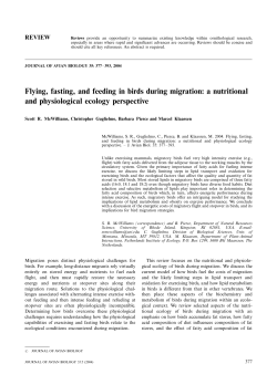 Flying, fasting, and feeding in birds during migration: a nutritional