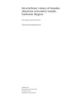 Invertebrates values of kanuka