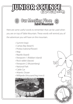 Primary school worksheets