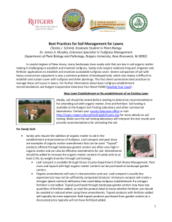 Best Practices for Soil Management for Lawns