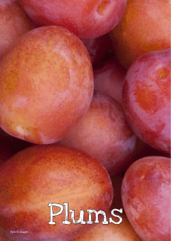 Plums - Jamie Oliver