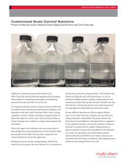 Scale Control Solutions