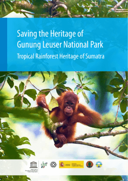 Saving the heritage of Gunung Leuser National Park
