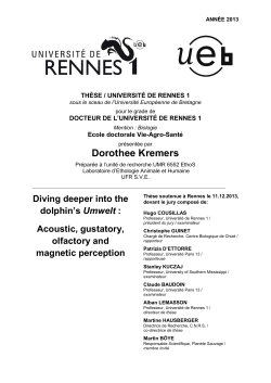 Dorothee Kremers - Advanced search