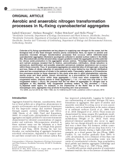 Aerobic and anaerobic nitrogen transformation processes