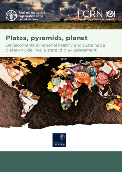 Plates, pyramids, planet - Food and Agriculture Organization of the